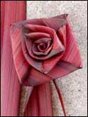 photo of a red flax English rose