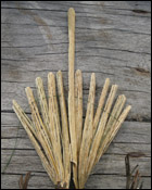 weaving a flax fantail step 48