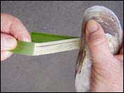 photo of scraping a fibre end